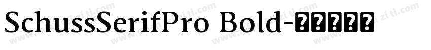 SchussSerifPro Bold字体转换